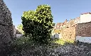 FullSizeRender-7.webp